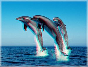 Delfines 3D